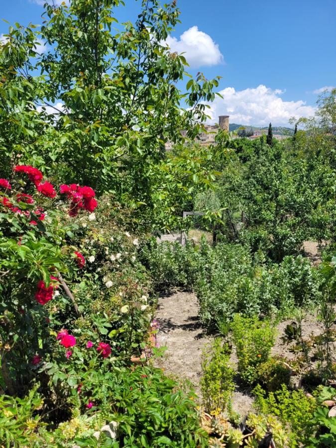 Comfort, Parcheggio E Balcone Su Tricarico In Basilicata, Io Sono Qui Εξωτερικό φωτογραφία